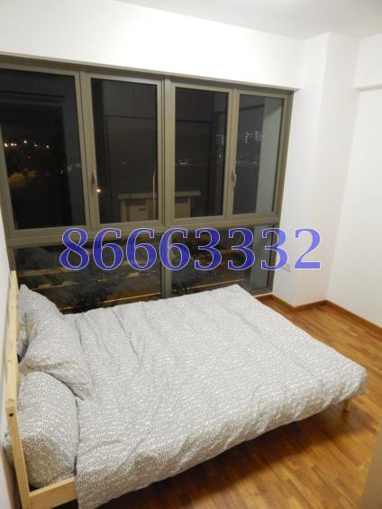 Parc Vera (D19), Condominium #173852582